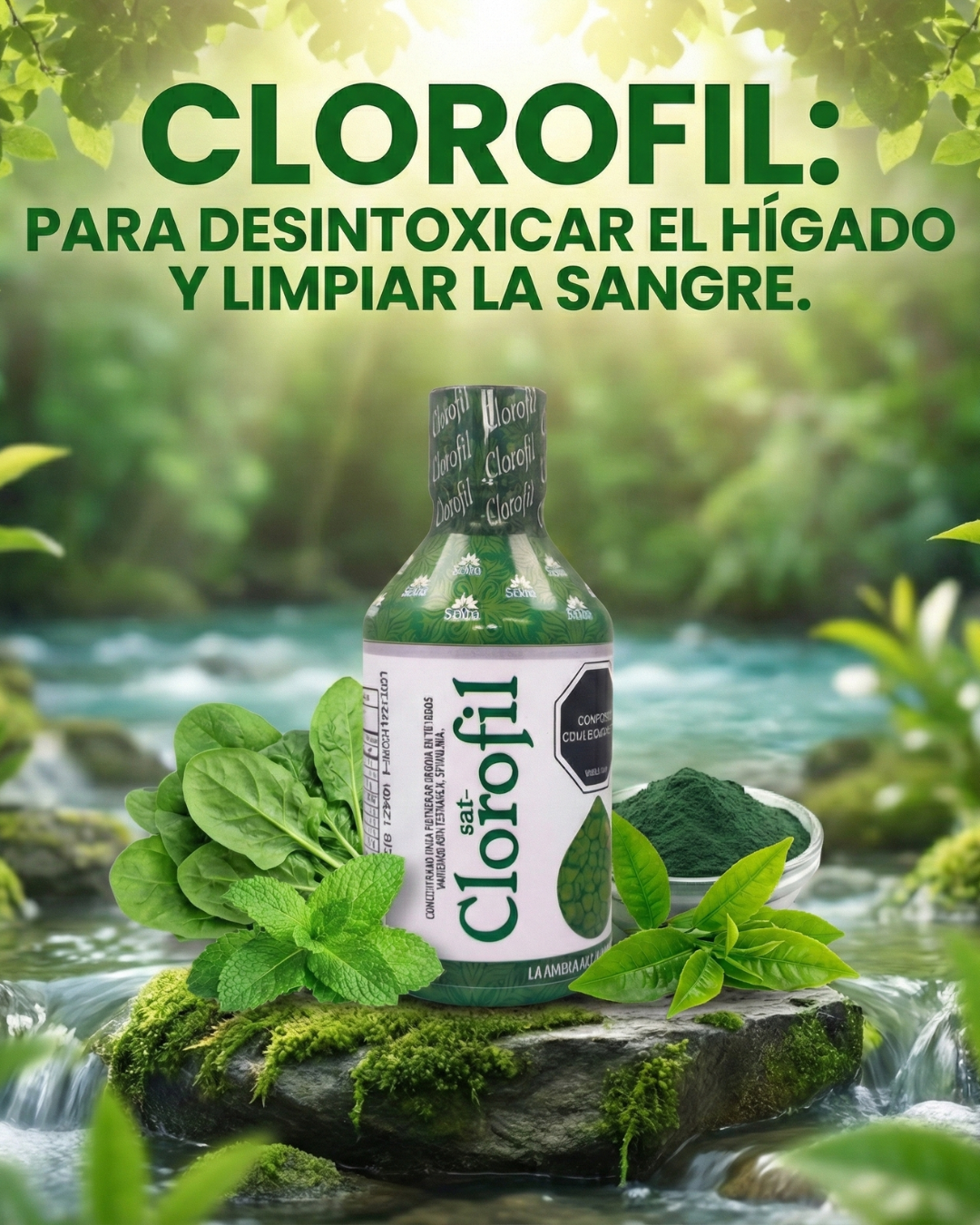 CLOROFIL🍃UNA FORMA NATURAL DE CUIDAR TU CUERPO💪